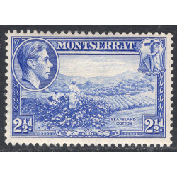 MONTSERRAT SCOTT 96A
