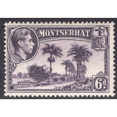 MONTSERRAT SCOTT 98A
