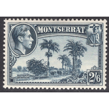 MONTSERRAT SCOTT 100A