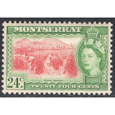 MONTSERRAT SCOTT 137