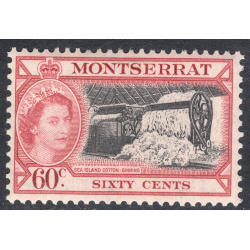 MONTSERRAT SCOTT 139