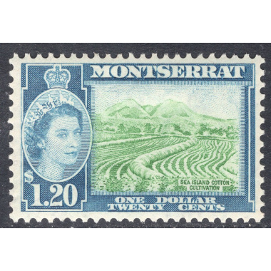 MONTSERRAT SCOTT 140
