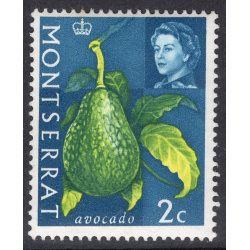 MONTSERRAT SCOTT 160