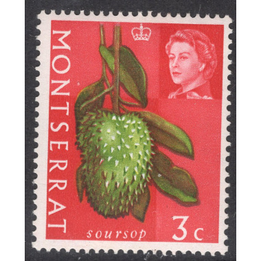 MONTSERRAT SCOTT 161
