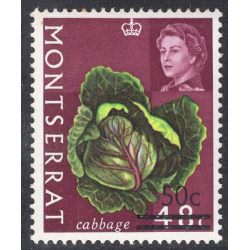 MONTSERRAT SCOTT 195
