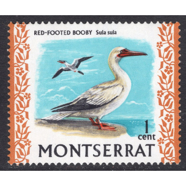 MONTSERRAT SCOTT 231