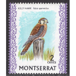 MONTSERRAT SCOTT 232