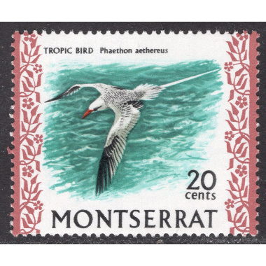 MONTSERRAT SCOTT 238