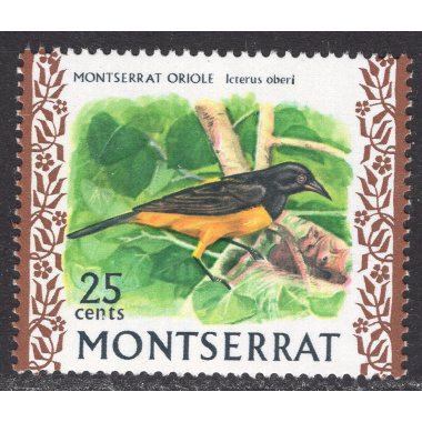 MONTSERRAT SCOTT 239