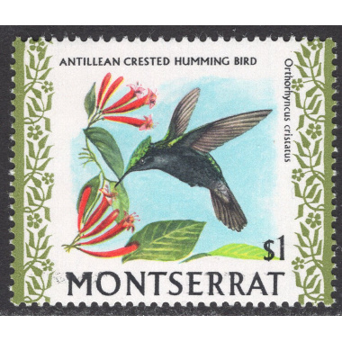MONTSERRAT SCOTT 241