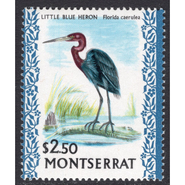 MONTSERRAT SCOTT 242