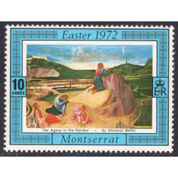 MONTSERRAT SCOTT 275