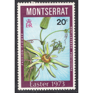 MONTSERRAT SCOTT 288