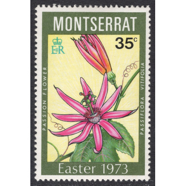 MONTSERRAT SCOTT 289