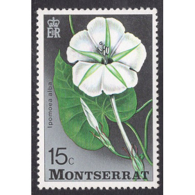 MONTSERRAT SCOTT 366