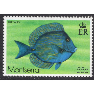 MONTSERRAT SCOTT 383