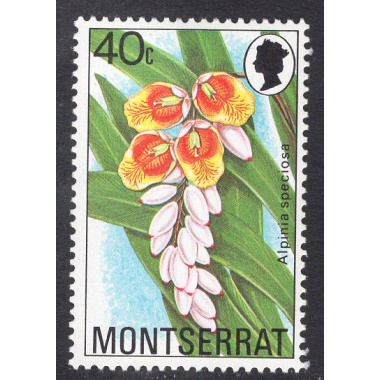 MONTSERRAT SCOTT 389