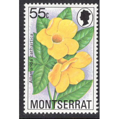 MONTSERRAT SCOTT 390