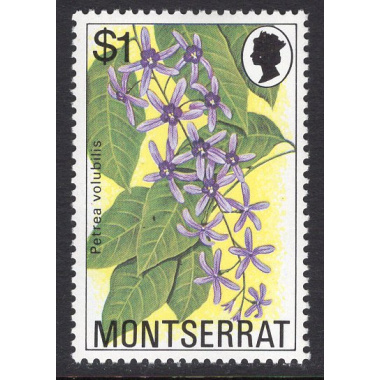 MONTSERRAT SCOTT 391