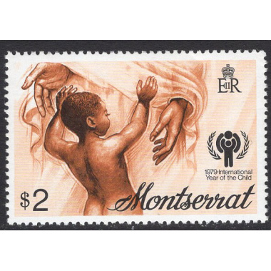 MONTSERRAT SCOTT 405