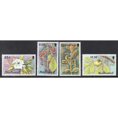 MONTSERRAT SCOTT 480-483