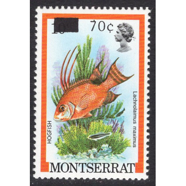 MONTSERRAT SCOTT 508