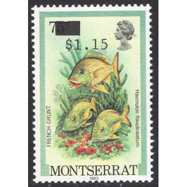 MONTSERRAT SCOTT 512
