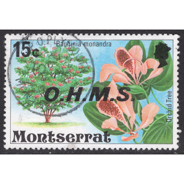 MONTSERRAT SCOTT O12