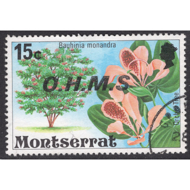 MONTSERRAT SCOTT O12