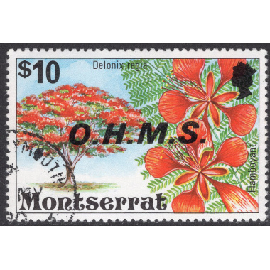 MONTSERRAT SCOTT O19