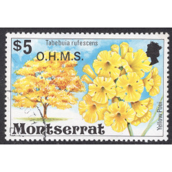 MONTSERRAT SCOTT O28