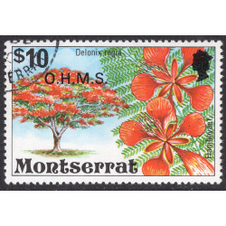 MONTSERRAT SCOTT O29