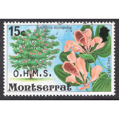 MONTSERRAT SCOTT O33