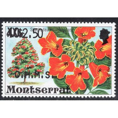 MONTSERRAT SCOTT O42