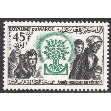 MOROCCO SCOTT 37