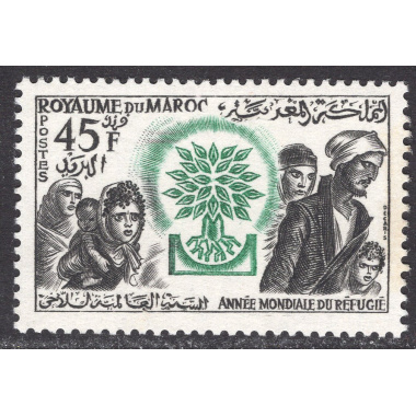 MOROCCO SCOTT 37