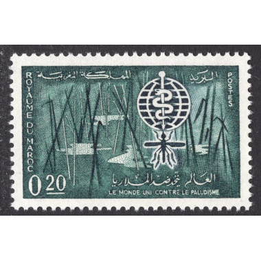 MOROCCO SCOTT 66