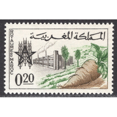 MOROCCO SCOTT 89