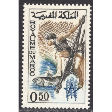 MOROCCO SCOTT 90