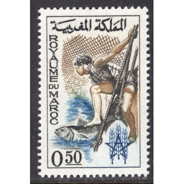 MOROCCO SCOTT 90