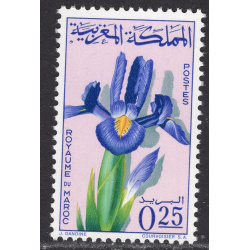 MOROCCO SCOTT 115