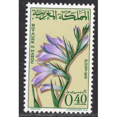 MOROCCO SCOTT 116