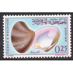 MOROCCO SCOTT 124