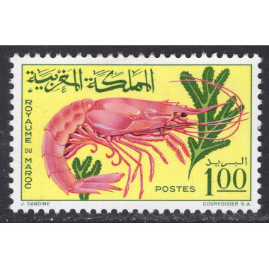 MOROCCO SCOTT 128