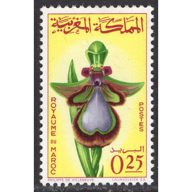 MOROCCO SCOTT 129