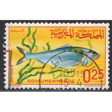 MOROCCO SCOTT 150