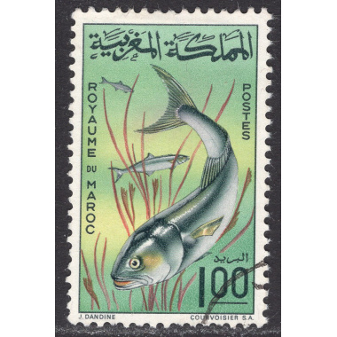 MOROCCO SCOTT 152