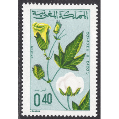 MOROCCO SCOTT 165