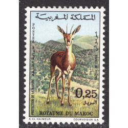MOROCCO SCOTT 268