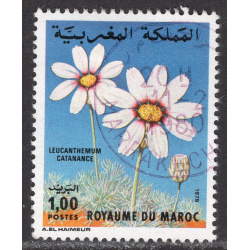 MOROCCO SCOTT 444